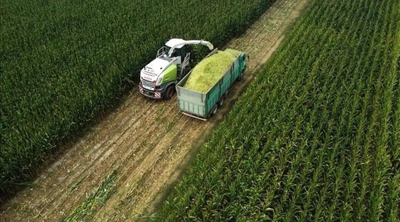 Tarıma Yönelik Hazine Destekli Finansmana İlişkin Limitler Düzenlendi Tarıma yönelik</