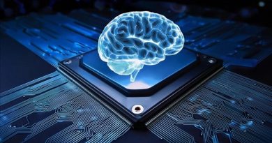 Yapay Zeka Kullanan Girişimlerin Oranı Yüzde 7,5'e Çıkıyor Türkiye İstatistik