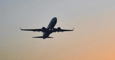 ABD'de Yolcu Uçağı Acil Iniş Yaparak Hayatını Kurtardı Los Angeles'a