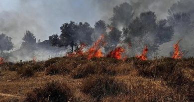 Lübnan'da Katil İsrail Saldırısı: Ormanlar Yandı, Evler Hasar Gördü Lübnan</