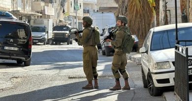 Sadece TÜRKÇE üret