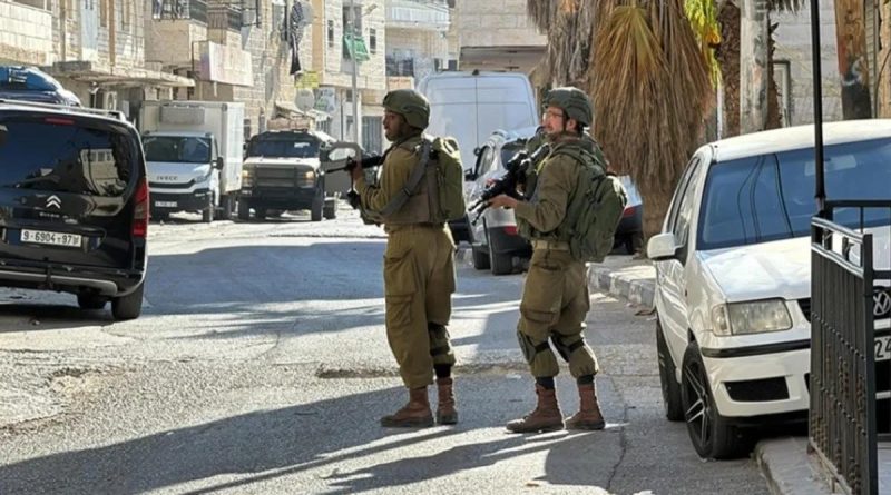 Sadece TÜRKÇE üret