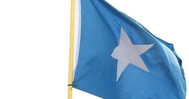Somali, İsveç'ten Sınır Dışı İddialarını Reddetti Somali Başbakanlık Ofisi Açıklaması</