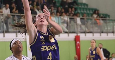 Fenerbahçe, Ormanspor'u Farklı Geçti! Fenerbahçe, Deplasmanda OGM Ormanspor</strong