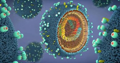 Here is a rewritten version of the text in Turkish: