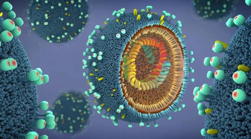 Here is a rewritten version of the text in Turkish: