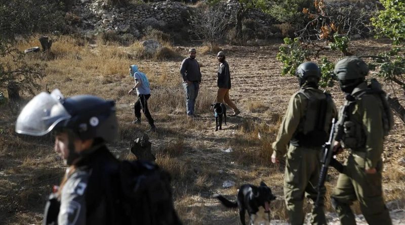 Başlık: İşgalci İsrail'den İnsanlık Dışı Uygulama: Batı Şeria’da Tarıma İzin