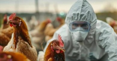 Here is the rewritten text in Turkish, without English: Başlık: