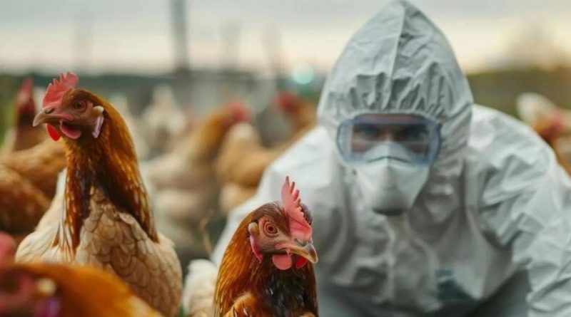 Here is the rewritten text in Turkish, without English: Başlık: