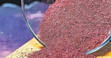 Türk Mutfağı ve Sumak: Bir Baharatın Gizemi Türk Mutfağında Sumağın