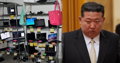 Başlık: North Korealı Kadının ABD Teknoloji Şirketlerine Girmesi İçerik: North