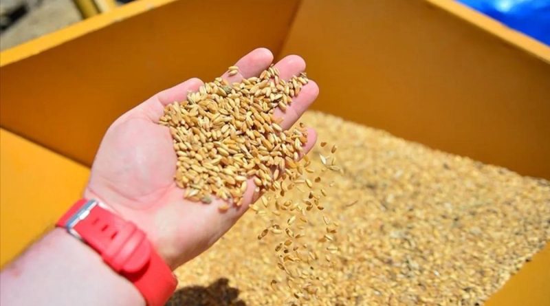 Arpa ve Mısır İthalatı Kontenjanında Yeni Tarife Resmi Gazete'de Yayımlanan