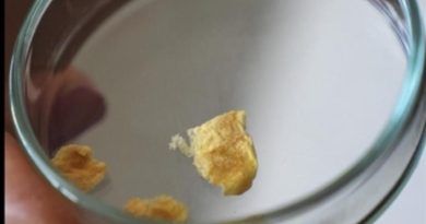 Balık Kılçığından Yüksek Kaliteli Kolajen Üretiliyor Gazi Üniversitesi Teknik Bilimler