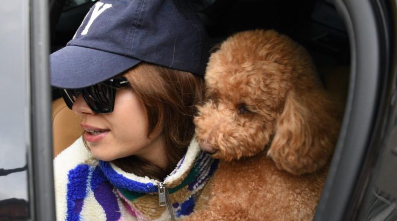 Afra Saraçoğlu: Bilerek Gizlendim Afra Saraçoğlu, Kuaförden Çıkarken Görüntülendi