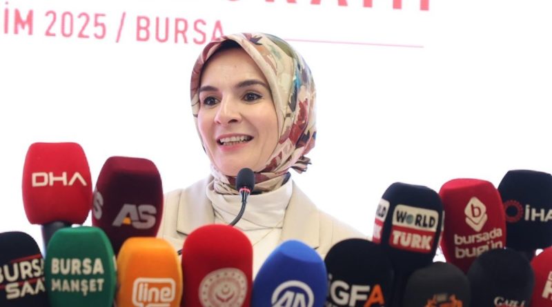 Aile Temelli Ulusal Erken Müdahale Sistemi 4 İle Pilot Uygulama