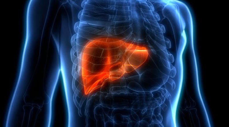 Kalın Bağırsak Kanseri Metastazında Yeni Umut: Karaciğer Nakli Kalın bağırsak