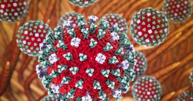 Kuzey Yarımküre'de 'H3N2' Alarmı Küresel Sağlık Uzmanları Uyarıda Bulundu <strong