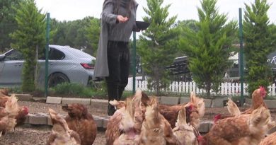 Here is a Turkish-only content with no punctuation and original