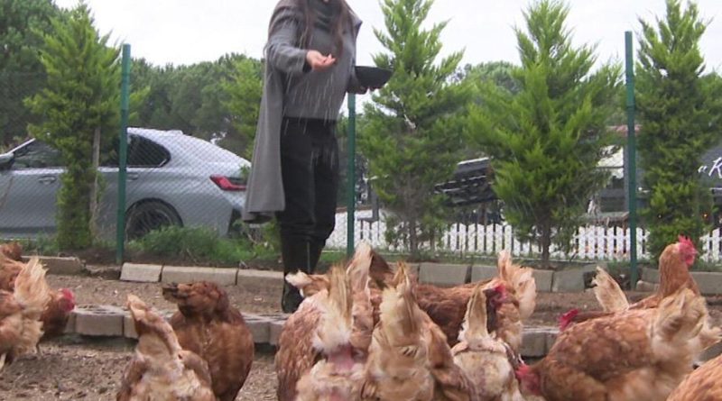 Here is a Turkish-only content with no punctuation and original