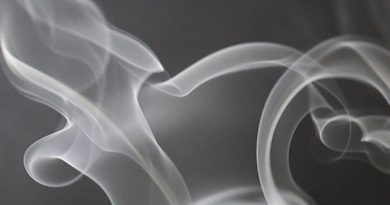 DSÖ: Her Yıl 7 Milyon Kişiyi Öldürüyor Dünya Sağlık Örgütü