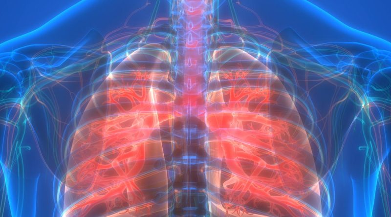 Sigaradan ve Pasif İçicilikten Uzak Durmak KOAH'tan Koruyor Sigara ve