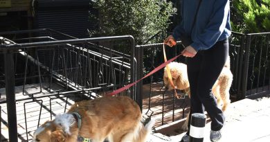 Here is a new content in Turkish: Başlık: Tiyatro Müthiş