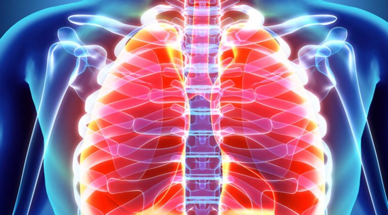 Akciğerlerimiz Ne Kadar Yaşlı? Akciğerlerimiz, uzun ve sağlıklı yaşamın en