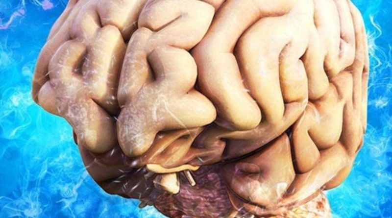 Ergenlik, 32 Yaşına Kadar Sürüyor! Bilim Insanları, İnsan Beyinin Yaşam