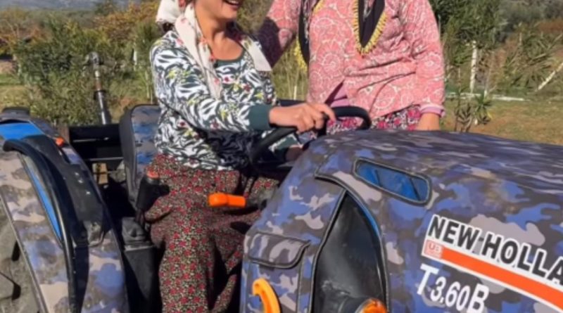 Here is a new, original, and point-free text in Turkish: