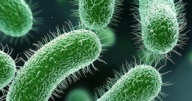 Here is a Turkish content that meets your requirements: Başlık: