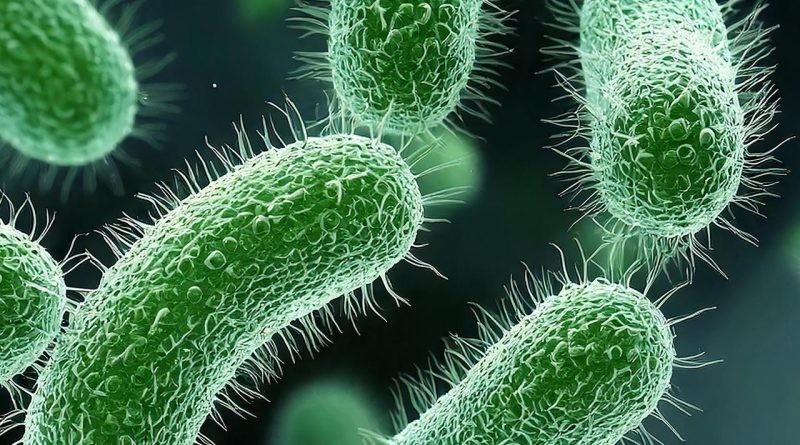 Here is a Turkish content that meets your requirements: Başlık: