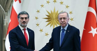 Gürcistan'da İşbirliği ve Taziye