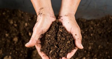 Başlık: Terra Rossa Toprak: Nedir, Nerede Bulunur ve Özellikleri Terra