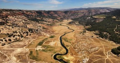 Başlık: Delta Ovası Nedir? Delta Ovaları Nasıl Oluşur, Türkiye’de