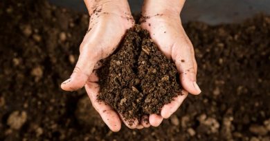 Here is the requested content in Turkish: Humuslu Toprak: Verimli