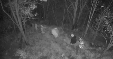 FETÖ Suspects Caught While Trying to Flee to Bulgaria FETÖ