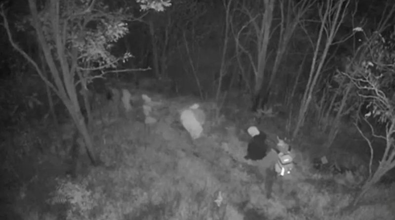 FETÖ Suspects Caught While Trying to Flee to Bulgaria FETÖ