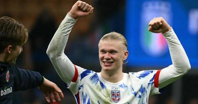 Norveç, 28 Yıl Sonra Dünya Kupası'nda Norveç Milli Takımı, FIFA