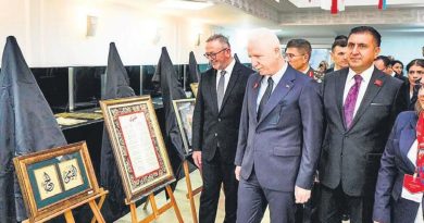 Öğretmenin Özverisi Sanata Yansıdı İstanbul'da Öğretmenlerin Eserleri Sergilendi Sabır, emek