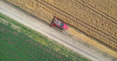 Üreticilere 11,6 Milyar Lira Hasar Tazminatı Ödendi Üreticilere 11,6 <