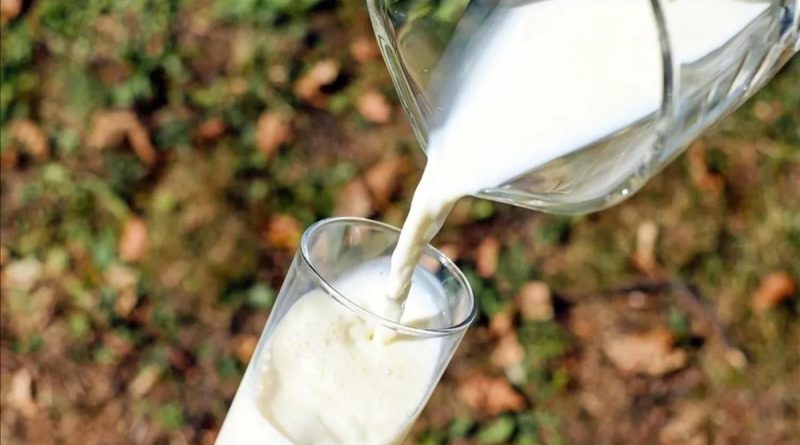 TİGEM, 75 Bin Tona Yakın İnek Sütü Satışını Açıkladı TİGEM'in