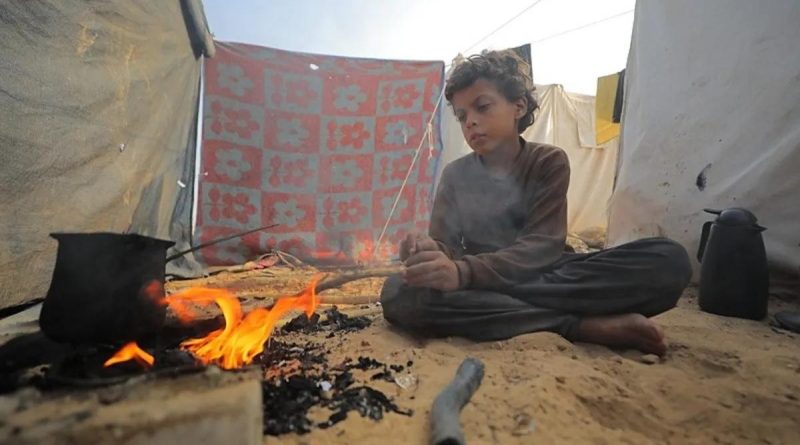 Yaşamla Ölüm Arasında: Gazze'de İnsani Kriz Gazze'deki İnsani Kriz: Yaşam