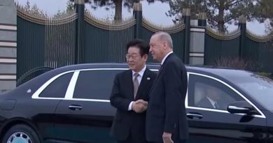 Sadece TÜRKÇE üret