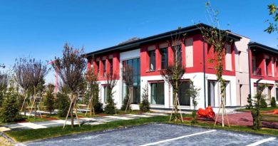 Here is a Turkish-only content with no more than 10