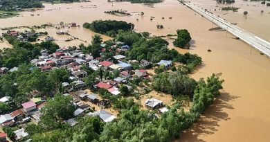 Sadece TÜRKÇE üret