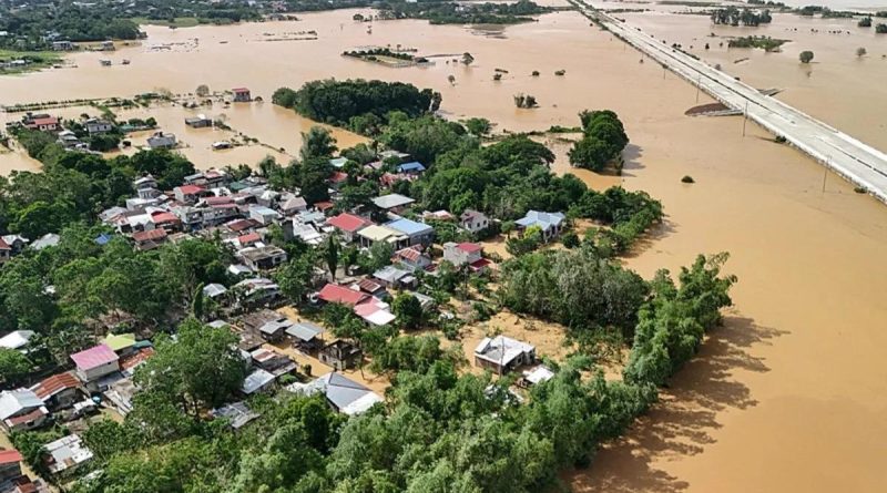 Sadece TÜRKÇE üret
