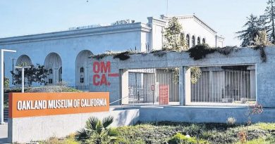 Müzeler Soyguncuların Hedefinde: ABD'de Müze Soygunu Müzeler Soyguncuların</