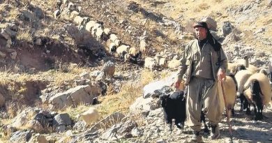 Andok Dağı’nda Barış Rüzgârları Esiyor Terörsüz Türkiye'de Huzur İklimi G