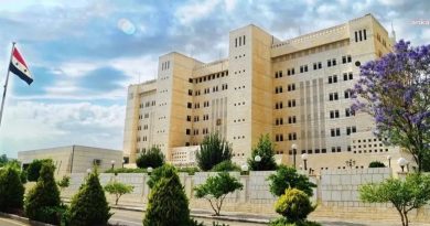 Sadece TÜRKÇE üret