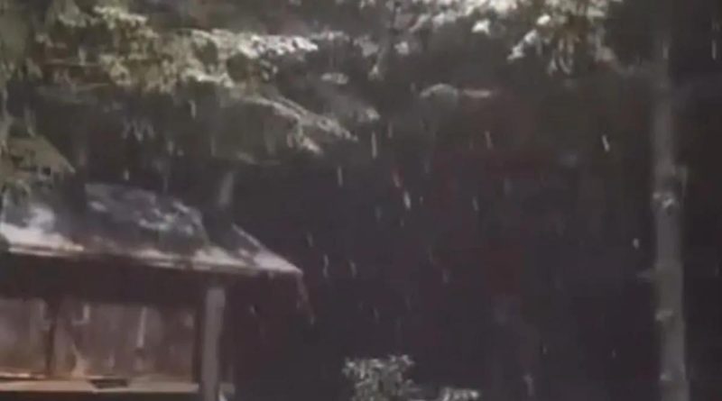 Here is a new content in Turkish: Başlık: Kartepe'de Mevsimin